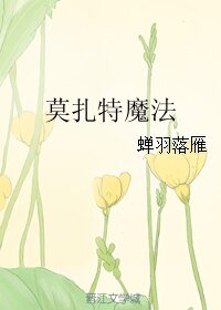 《莫扎特魔法》